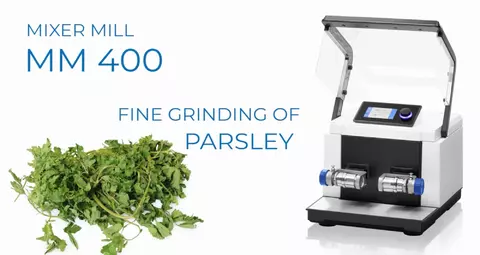 Fine  grinding of parsley with MM 400