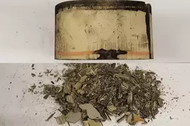 催化剂