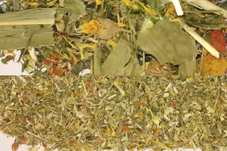 药草
