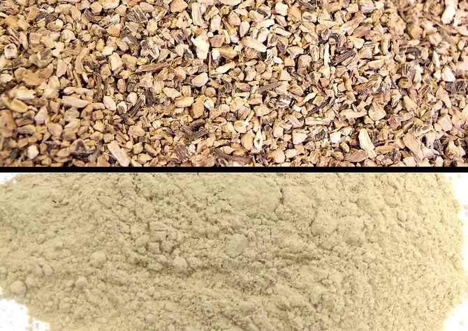 滚筒式研磨仪TM 500: 研磨龙胆根