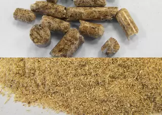 二次燃料，生物燃料
