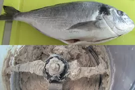 鱼