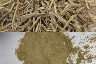 稻草